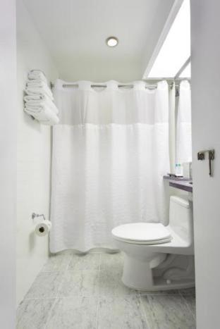 Room #5586120 image 3