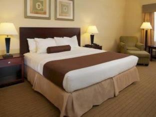 Room #29184017 image 2