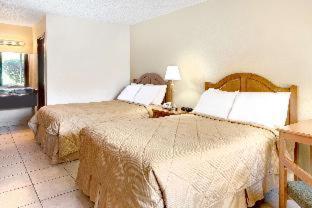 Room #24786220 image 3