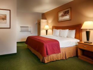 Room #51600008 image 3