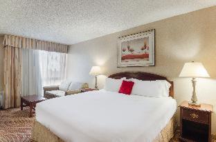 Room #17163930 image 3