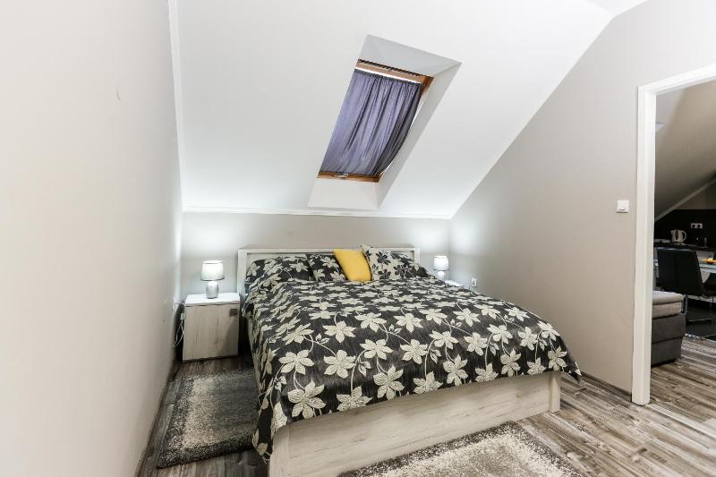 One-Bedroom Apartment image 4