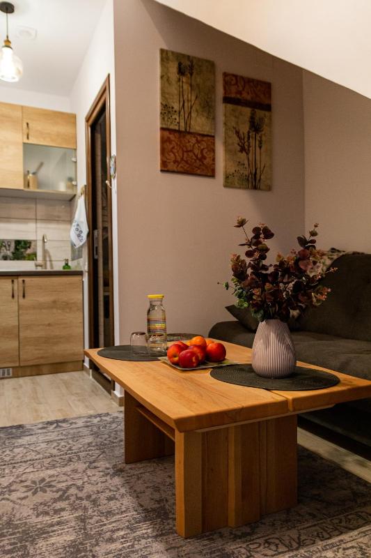 One-Bedroom Apartment image 4