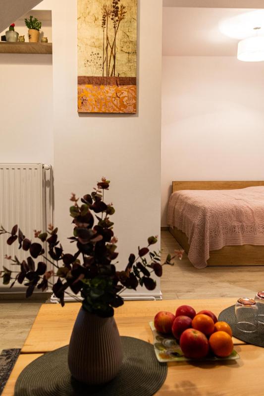 One-Bedroom Apartment image 3