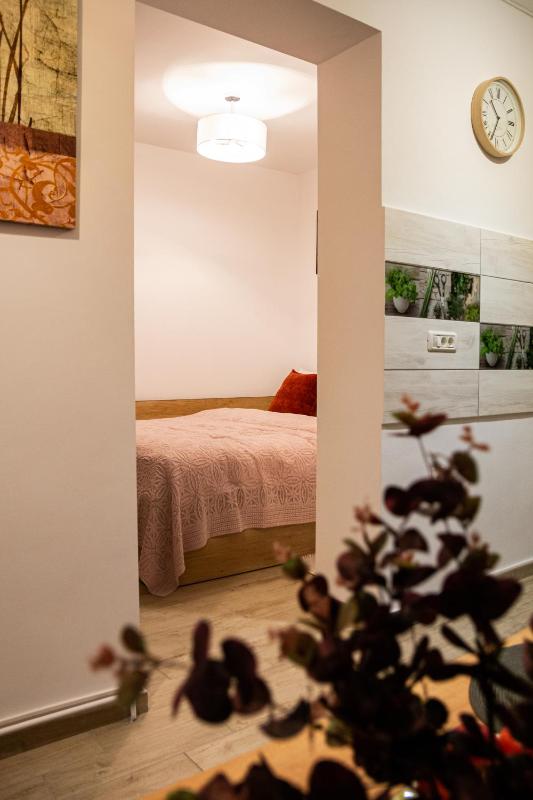 One-Bedroom Apartment image 2