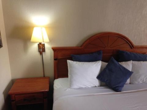 Downtowner Inn and Suites Monroe Rd - image 13