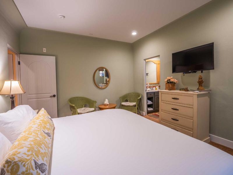 Luxury Suite 1 image 4