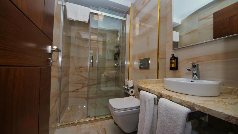 Deluxe Double Room image 3