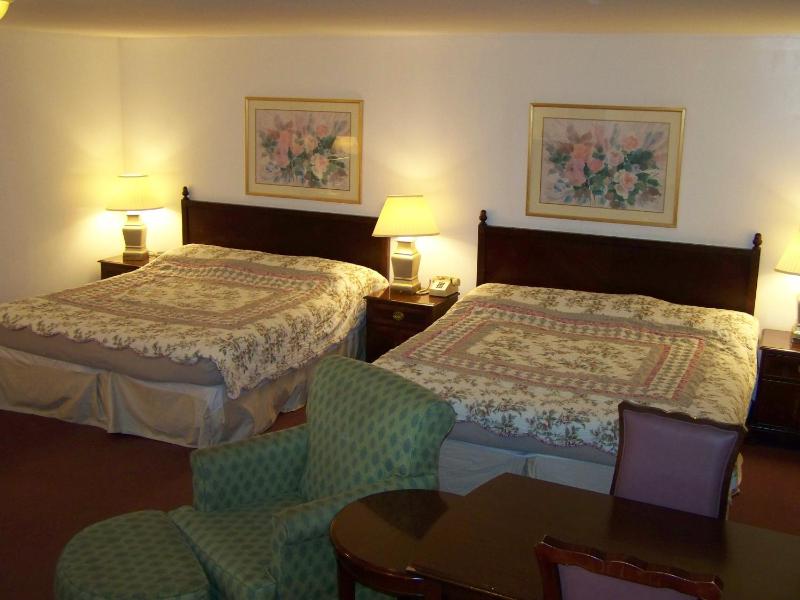 Double King Suite with a Sofa Bed image 1