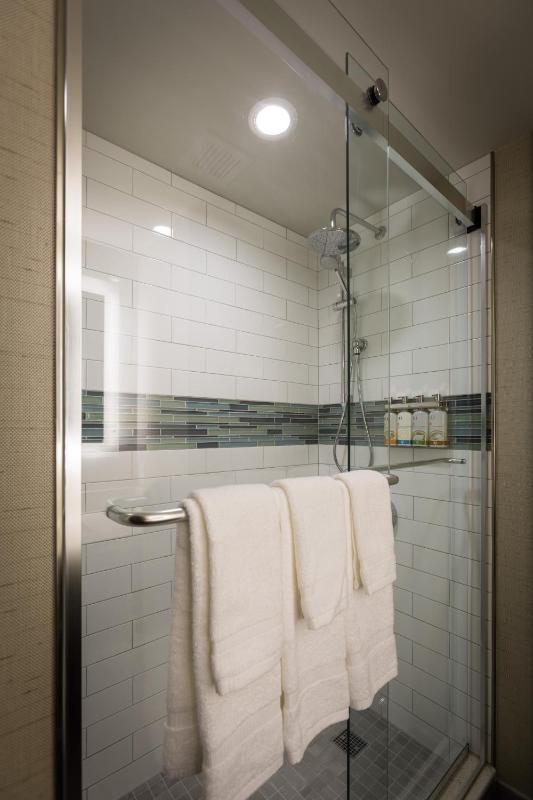 Standard King Room with Walk-In Shower image 4