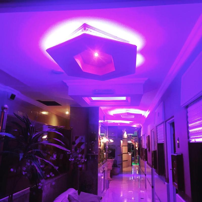 Hotel Gilda - image 5