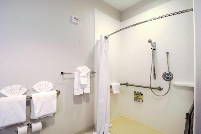 Holiday Inn Express Hotel & Suites Tampa-USF-Busch Gardens By IHG - image 41