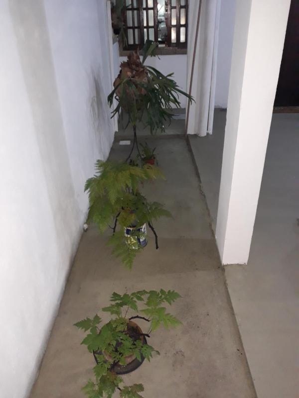 Casa da Lena - image 31