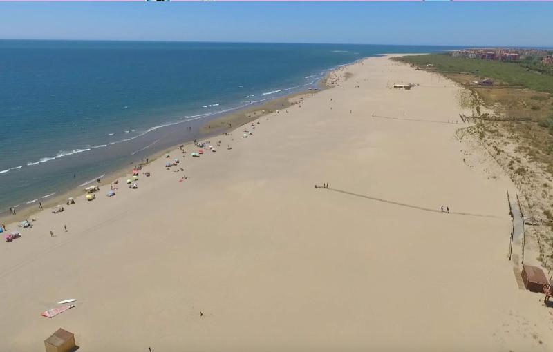 Three-Bedroom Apartment image 2