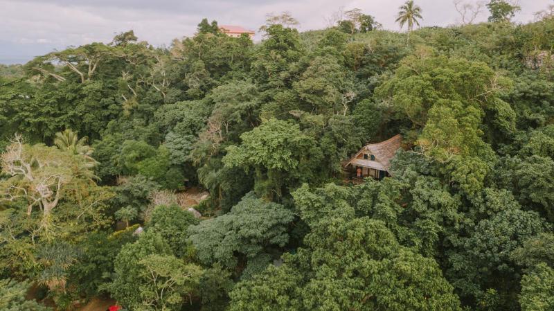 Treetops BnB & Bungalows - image 7