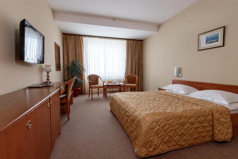 Comfort Double Room image 3