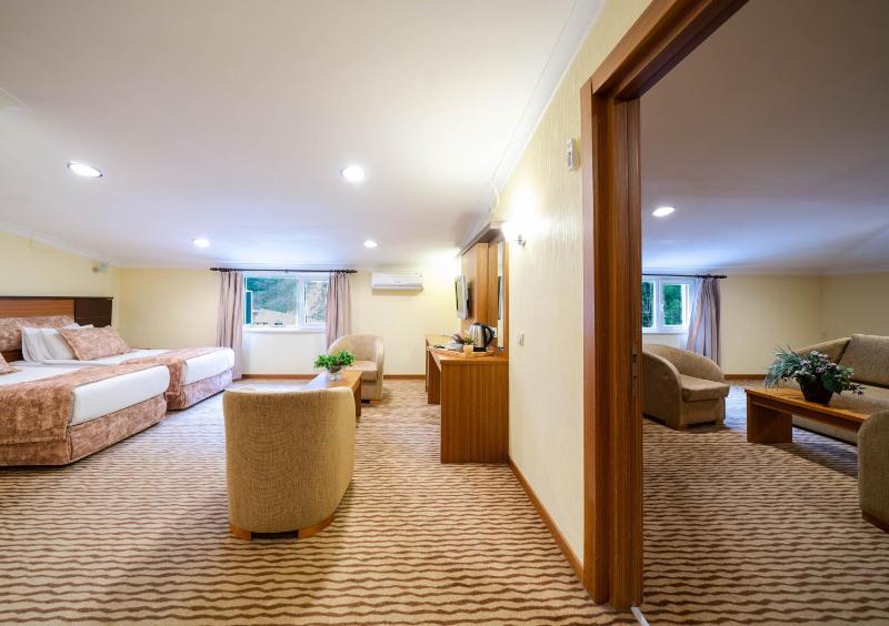 Two Connecting Rooms - Attic image 3