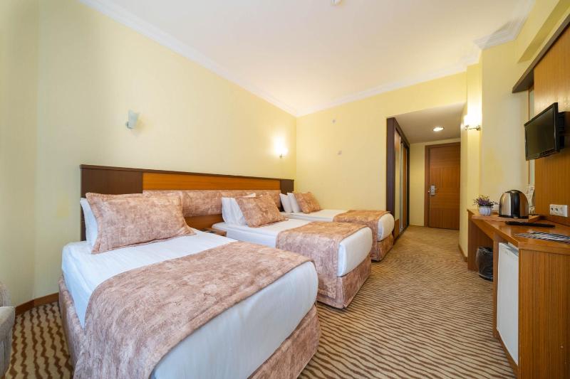Standard Triple Room image 3