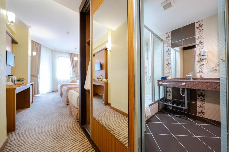 Standard Triple Room image 4