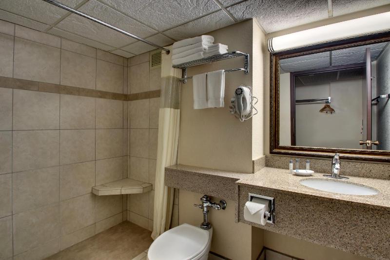 Deluxe King Room image 3