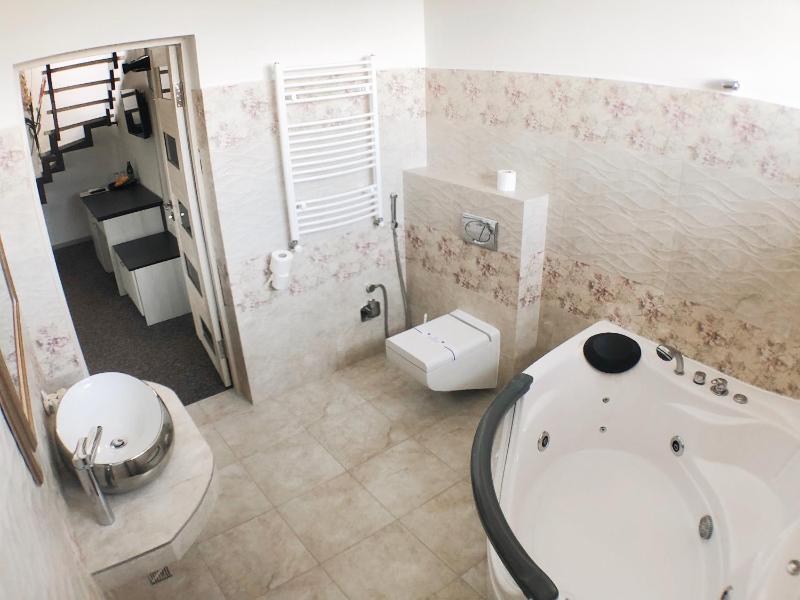 Duplex Suite image 4