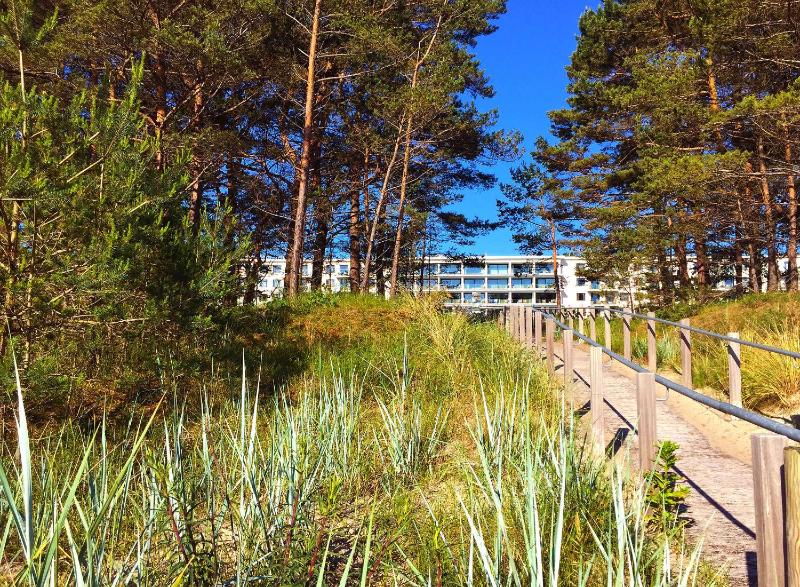 Strandresort Prora - WG 202 mit Meerblick und Sauna - image 7