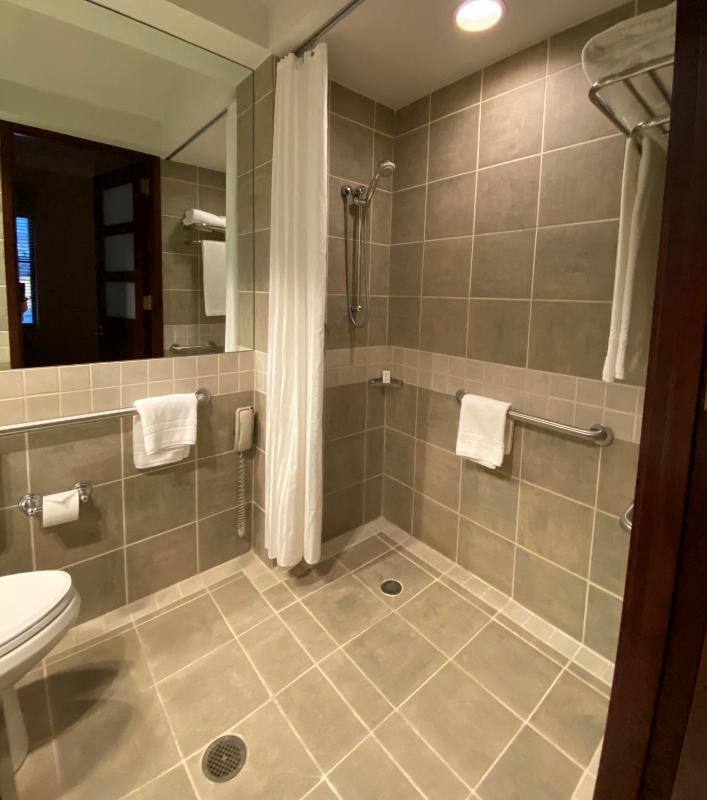 Queen Room - Disability Access image 3