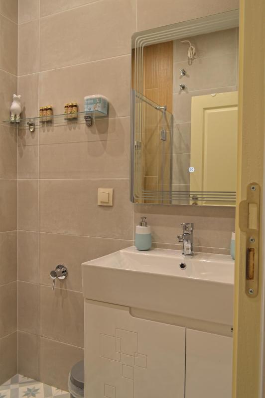 Studio Apartment image 4