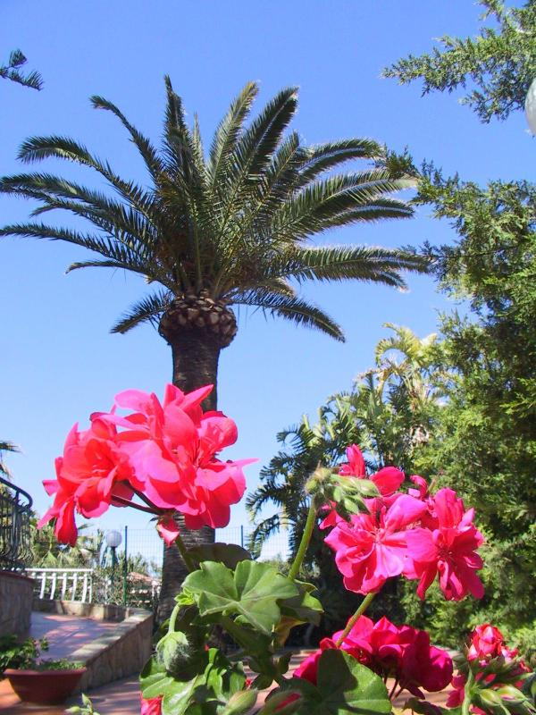 Villa Gaia Hotel - image 32