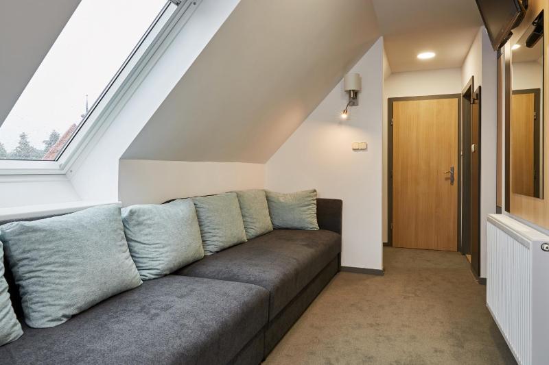 Standard Family Room image 3
