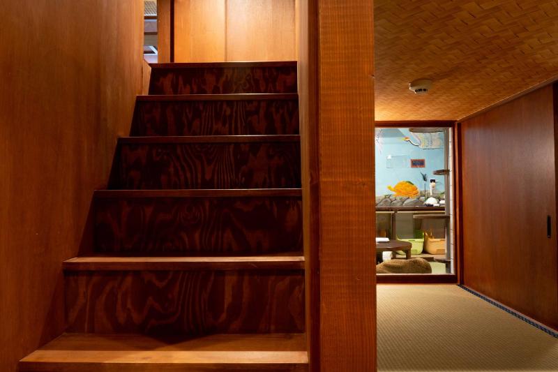 Cat Spa & Cat Ryokan by Neco Republic Osaka - image 13