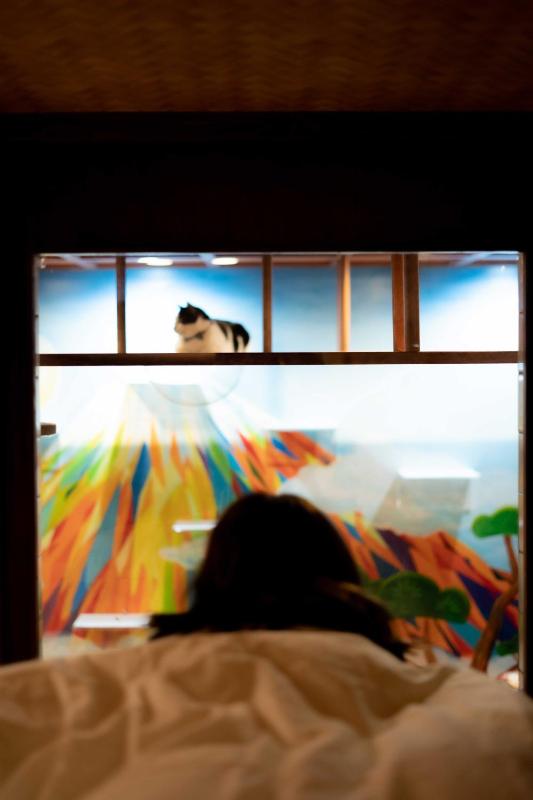 Cat Spa & Cat Ryokan by Neco Republic Osaka - image 4