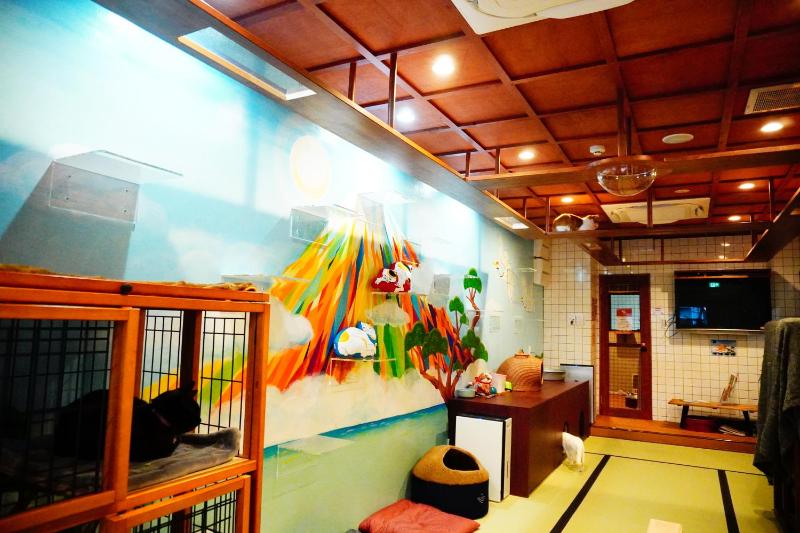 Cat Spa & Cat Ryokan by Neco Republic Osaka - image 6