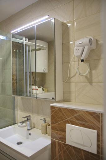 One-Bedroom Apartment image 4