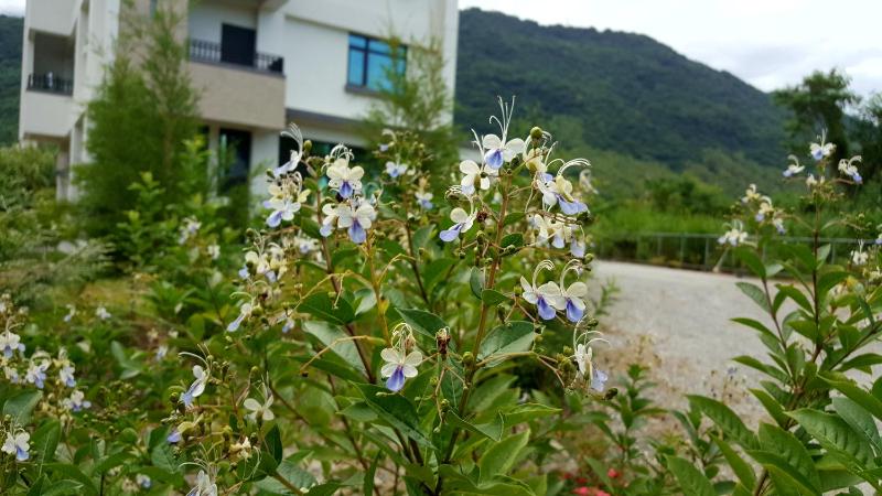 Hua Lian Sin Su Homestay - image 13