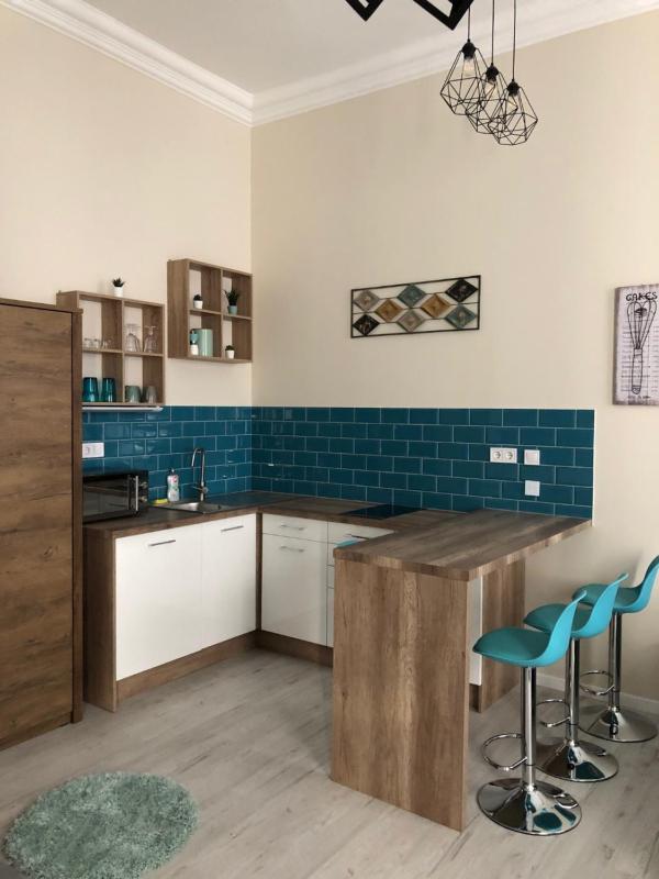 Superior Apartment image 4