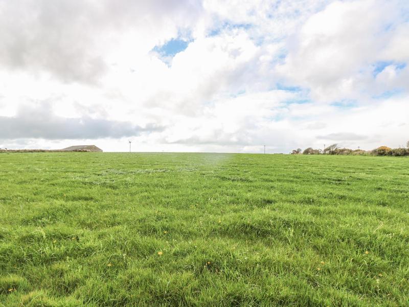 Barneys Barn - image 9