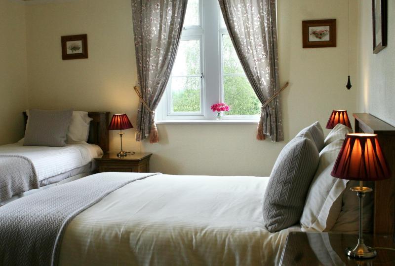 Standard Family Room image 3