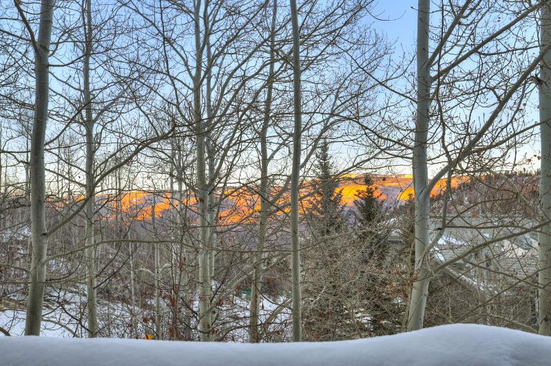 Mountain Luxury Townhome-Ski in out & Wood Burning Fireplace - image 4
