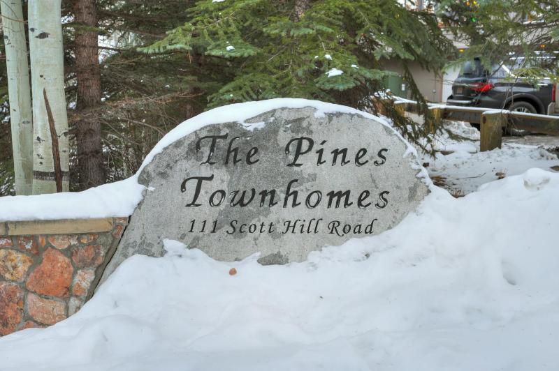 Mountain Luxury Townhome-Ski in out & Wood Burning Fireplace - image 2
