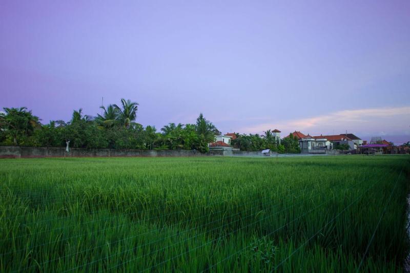 The Awandari Villas Seminyak - image 3