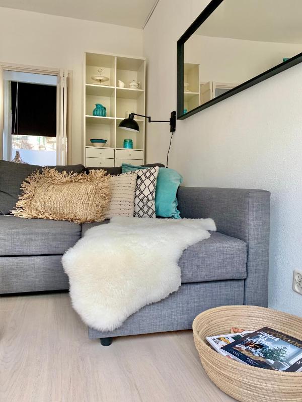 Apartment Sunflower Zandvoort - image 32