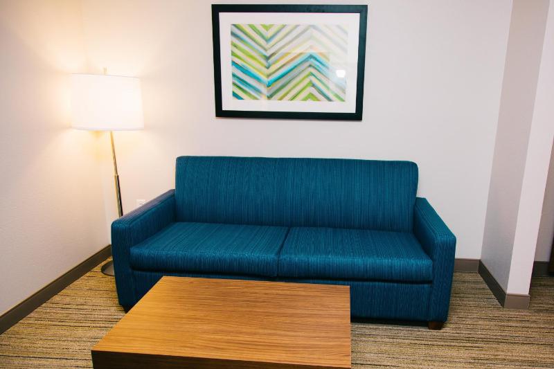 Holiday Inn Express Hotel & Suites Tampa-USF-Busch Gardens By IHG - image 5