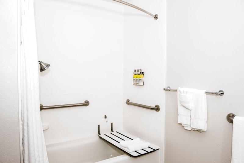 Holiday Inn Express Hotel & Suites Tampa-USF-Busch Gardens By IHG - image 11