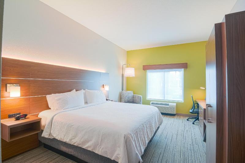 Holiday Inn Express Hotel & Suites Tampa-USF-Busch Gardens By IHG - image 28