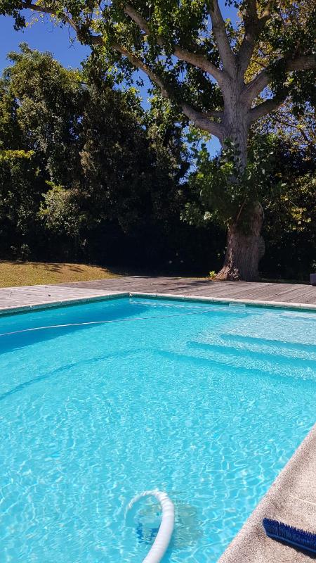 Bloom Guest House - image 1