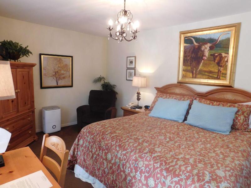 Deluxe King Room image 2