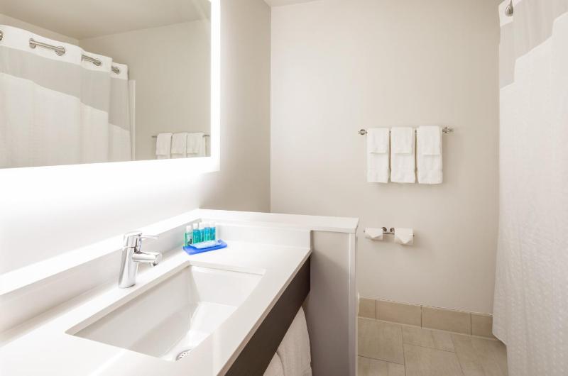 Holiday Inn Express Hotel And Suites Minneapolis Downtown By IHG - image 27