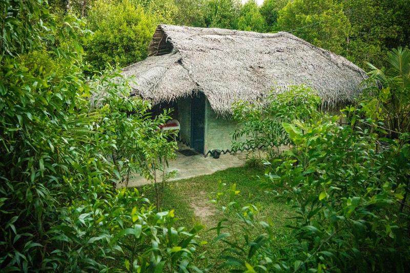 Mermaid Cabana and Tree Houses - image 14