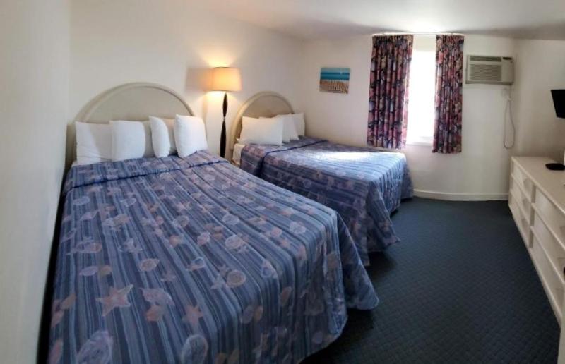Two Room Efficiency image 1